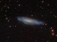 NGC 3003