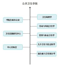 組織機構