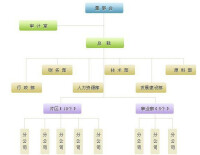 組織結構圖