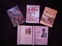 2007年著名作家賈平凹題寫書名《風雨人生》