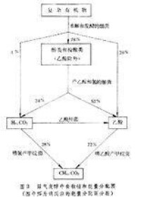 沼氣發酵微生物