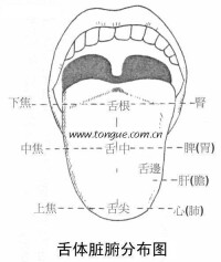 灰黑苔