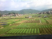 漳泉肖鐵路沿線景色