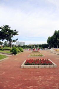 海上公園一瞥