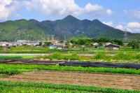 九江村[廣東普寧市大壩鎮下轄村]