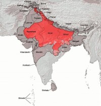 印度周邊印地語母語者的分佈狀況