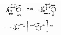 化學發光劑原理