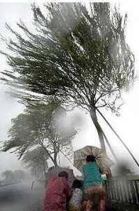 颱風雲娜