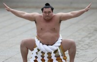 相撲表演