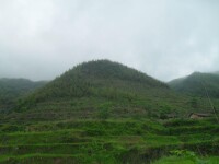 萬安寺遺址--鐘形嶺