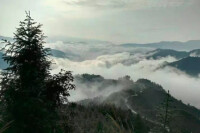 羅峰寺