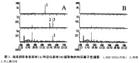 吸食者尿樣(A)和空白樣(B}提取物離子色譜圖