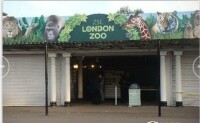 倫敦動物園