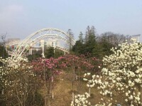 錦屏公園