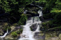 湖南大熊山國家森林公園