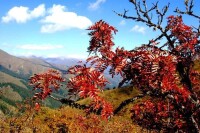 神仙池景區-紅葉