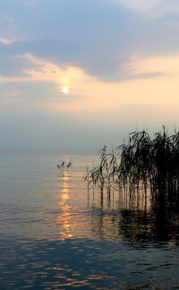 太湖美景