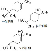 結構式