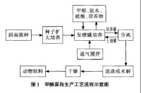 甲醇蛋白生產工藝流程圖