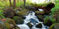 吉林拉法山國家森林公園