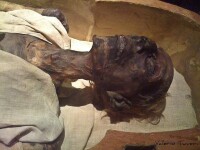 保存在開羅博物館的拉美西斯大帝木乃伊