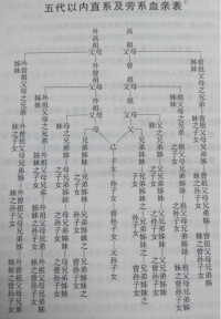 血親[名詞解釋]