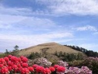 百草嶺冒台山