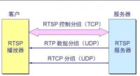 RTSP協議支持