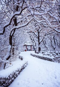 雪景