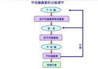 分級調節