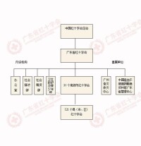 廣東省紅十字會組織結構圖