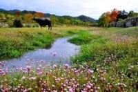 湖北羅田天堂寨地理風光