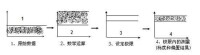 頻率計數器