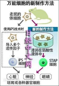 萬能細胞的製作方法