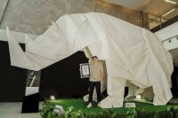 最大的犀牛