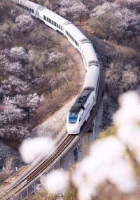 和諧號列車穿越居庸關花海