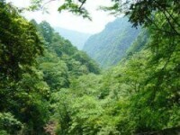 亞熱帶常綠闊葉林