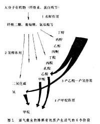 沼氣電站