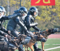 公安部昆明警犬基地——女訓犬員集合