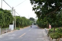 道路寬闊整潔