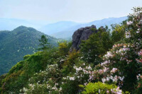 太平山森林公園