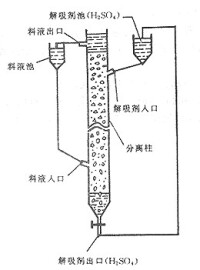 光譜學