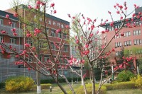 中國科學院過程工程研究所