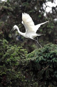 象山森林公園