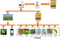 農業專家系統