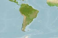 烏拉圭招潮蟹(活動海域圖)