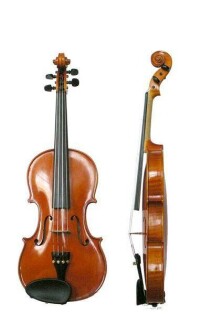 提琴的類型