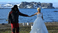 共述駕帆南極婚旅