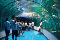 泉城海洋極地世界海底隧道