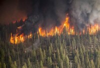 熱浪導致的森林火災